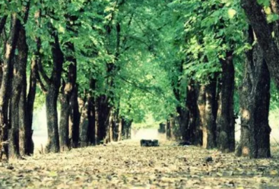 ​QQ签名浪漫，qq唯美浪漫签名(67句)