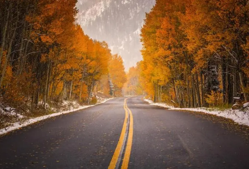 1712037834325105.png image.png