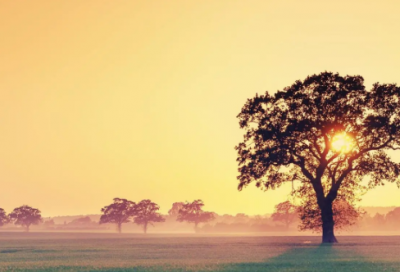​适合祭日文案