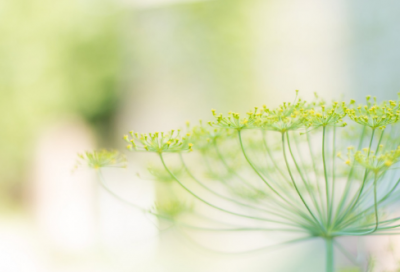 ​最鼓励人的话(100句)