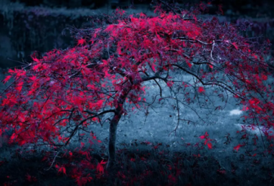 ​歇后语大全,歇后语大全精选(合集138句)