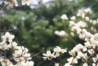 ​大学老师自我介绍