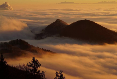 ​我的中学生活作文