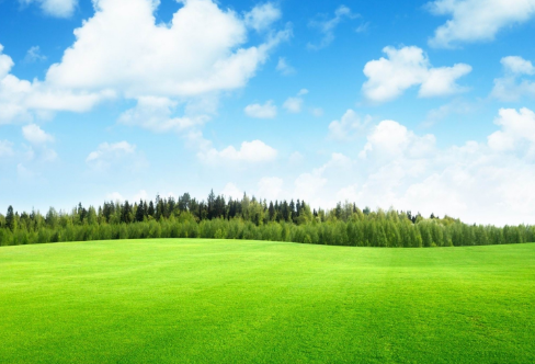 1715502139134000.png image.png