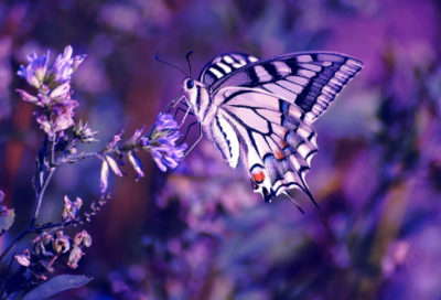 ​我的暑假生活日记