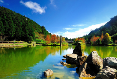 ​春游心得体会