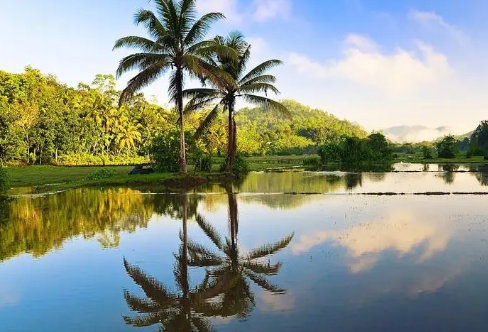 1715506139983233.png image.png