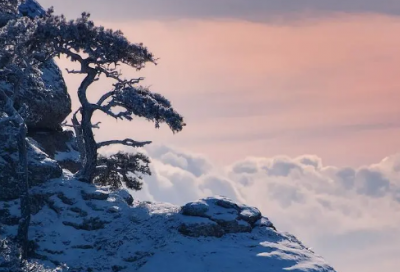 ​高中生贫困生申请书