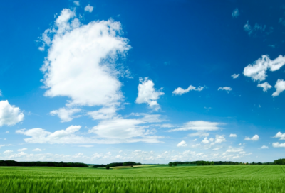 ​十岁那年读书笔记