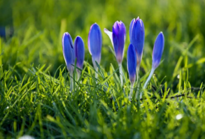 ​中职生自我介绍