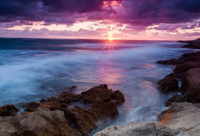 ​大学三好学生申请书