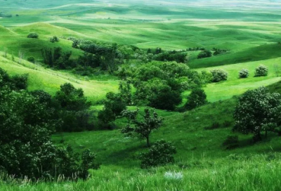 ​个人离职申请书