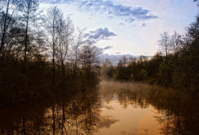 ​妈妈的爱话题作文