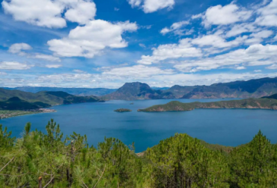 ​初一暑假日记