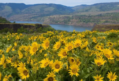 ​饭店转让合同