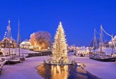 ​小猫观察日记