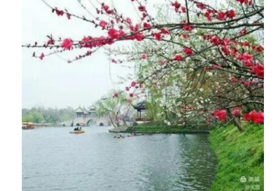 ​四年级数学日记