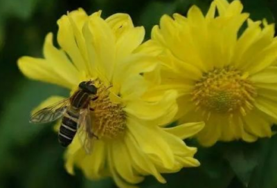 ​论友谊议论文