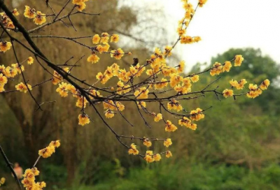 ​铅球运动员加油稿