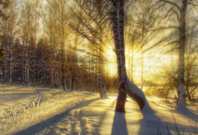 ​傣族竹楼导游词
