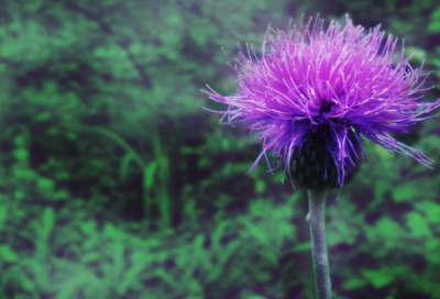 ​打羽毛球的日记