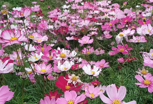 1715520637618280.png image.png