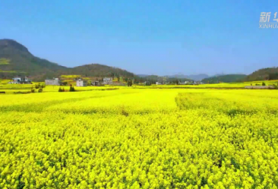 ​初二周记300字