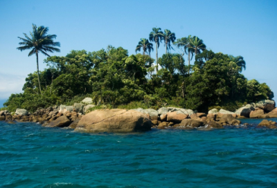 ​小学一年级日记