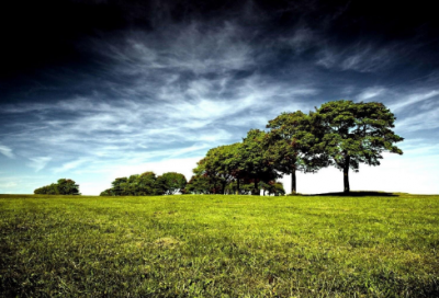 ​护士节开幕词