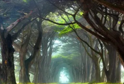 ​农村建房合同书