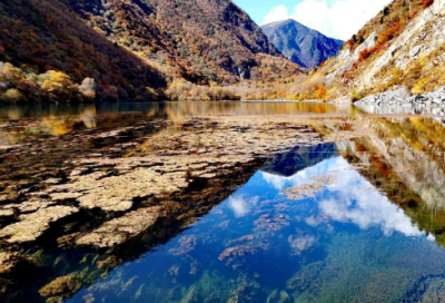 ​记忆深处作文