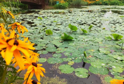 ​承包经营合同