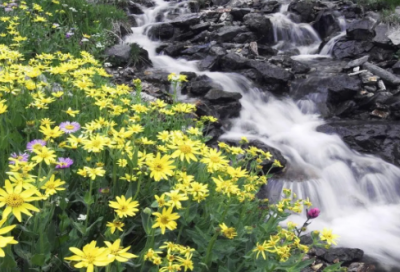 ​股份合作协议书