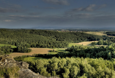 ​租车协议合同