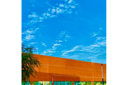 ​亡羊补牢听课记录