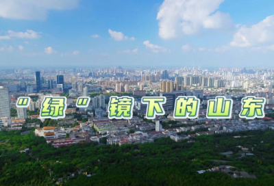 ​广告合同书