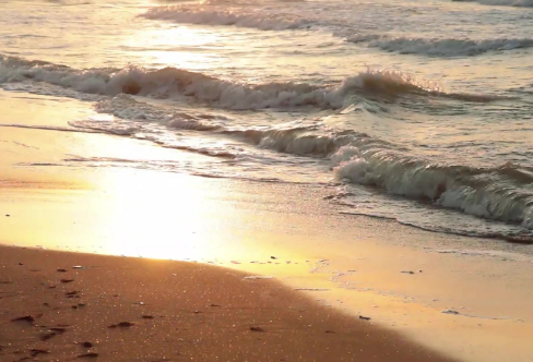 1715526637130631.png image.png