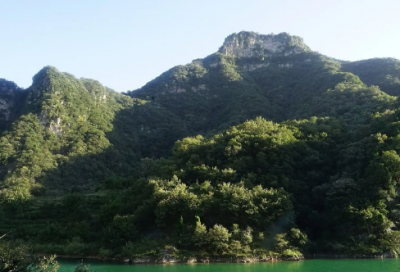 ​让孩子自己做主的教育随笔