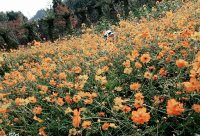 ​服务礼仪培训心得体会