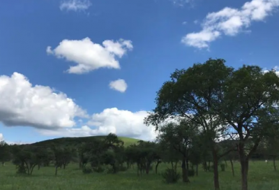 ​车库出租合同