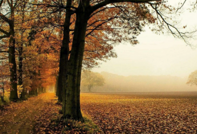 ​宣传部自我介绍