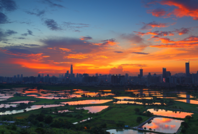 ​我的老师日记