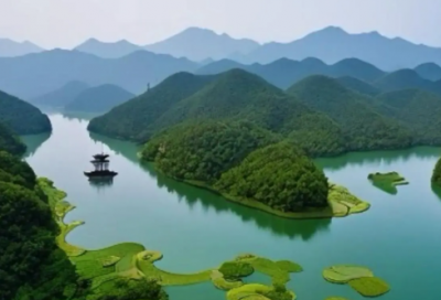 ​商陆的功效与作用