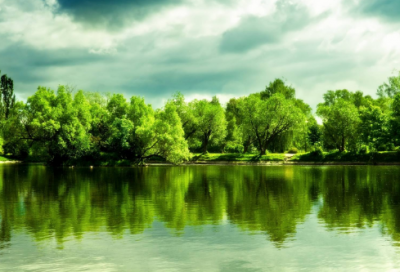 ​审计案例分析报告书范文