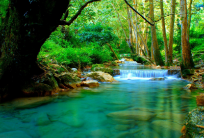 ​感谢团队的话语