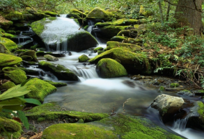 ​《千字文》带拼音及全文详解