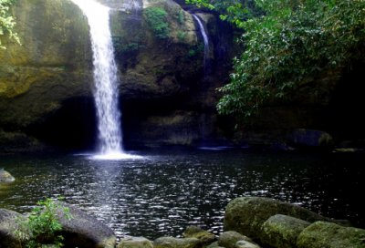 ​作比较的句子有哪些