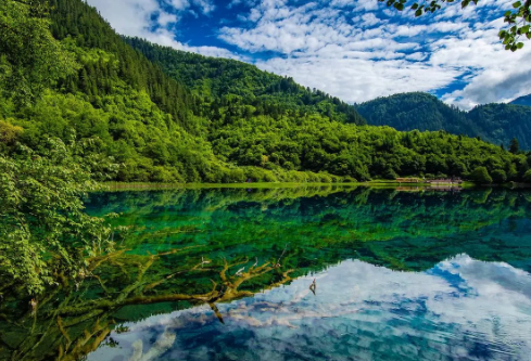 1716993536348901.png image.png