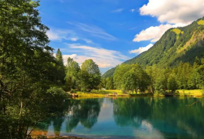 ​银行副行长述职报告（通用12篇）