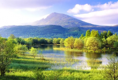 ​优秀个人工作总结（精选29篇）